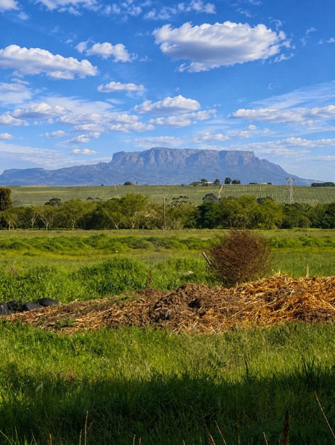 15 Bedroom Property for Sale in Ferreira Free State